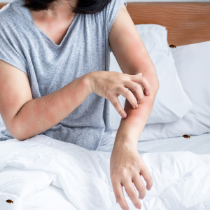 Bed Bug Control Service in Dhaka | Bikolpo.xyz