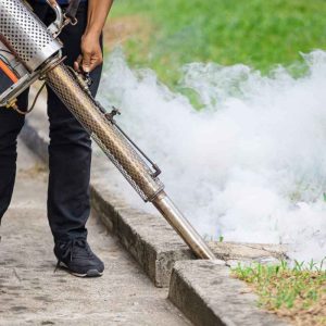 Mosquito Control & Insect Spray Service in Dhaka | Bikolpo.xyz