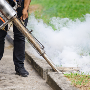 Mosquito Control & Insect Spray Service in Dhaka | Bikolpo.xyz