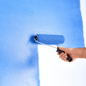 Painting & Renovation Services in Dhaka Bikolpo.xyz