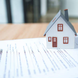 Professional Property Documentation & Land Deed Support in Dhaka Bikolpo.xyz