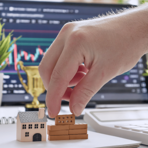 Professional Real Estate Investment & Portfolio Management in Dhaka Bikolpo.xyz