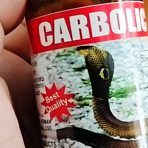 Professional Snake Control & Repellent Service in Dhaka | Bikolpo.xyz